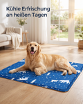 Hund entspannt kühl auf der Kühliyo Haustiermatte an heißen Tagen
