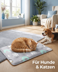 Für Hunde und Katzen – kühler Rückzugsort im Sommer
